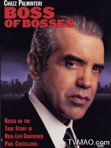 王中王电影,巅峰对决，王者归来