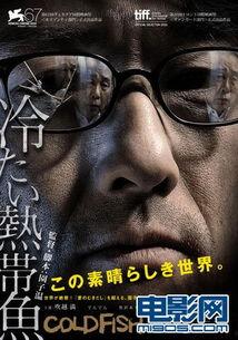 热带鱼电影,海洋深处的奇幻之旅